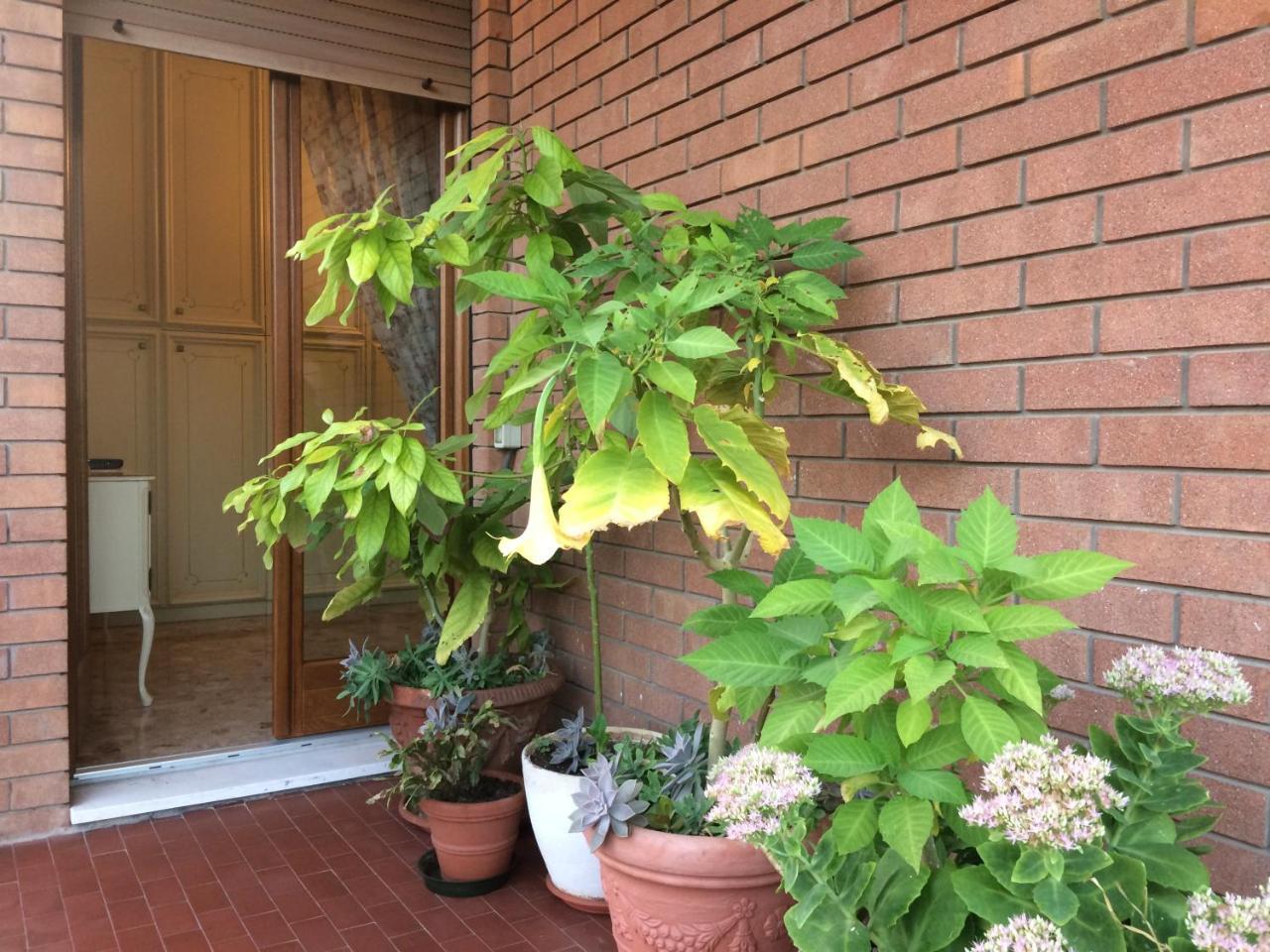 B&B Pergolesi Verona Exterior photo